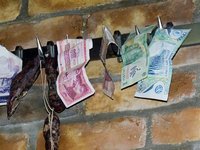 Crear empleo sin ahorcarse