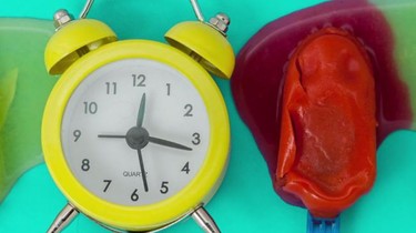 Creamlapse, el vídeo del verano