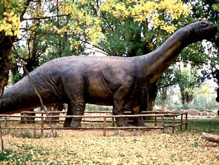 El Aragosaurus más joven de lo que se pensaba
