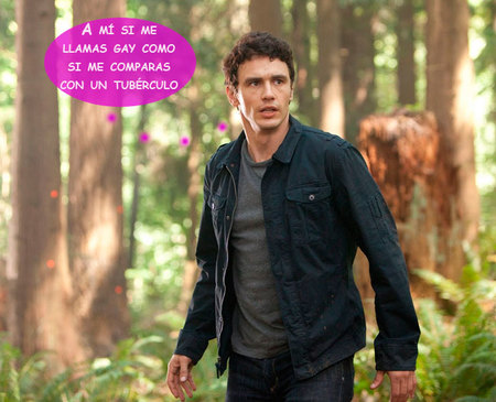 A James Franco si le llamas gay como si le llamas boniato