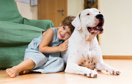 Abrazos entre perros y niños: lo que una educadora canina recomienda