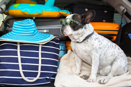 Istock 1169529877 Easy Resize Com