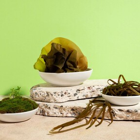 Hay vida más allá del wakame y las hojas de nori, el alga arame también es deliciosa y tiene muchos beneficios