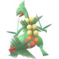 Sceptile Mega