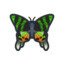 Twilight Moth