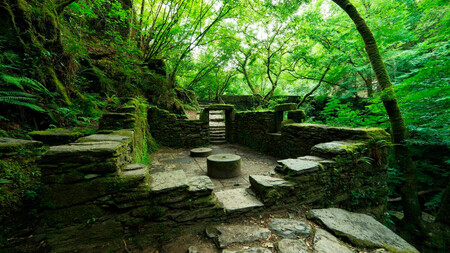 Parque Natural De Las Fragas Del Eume