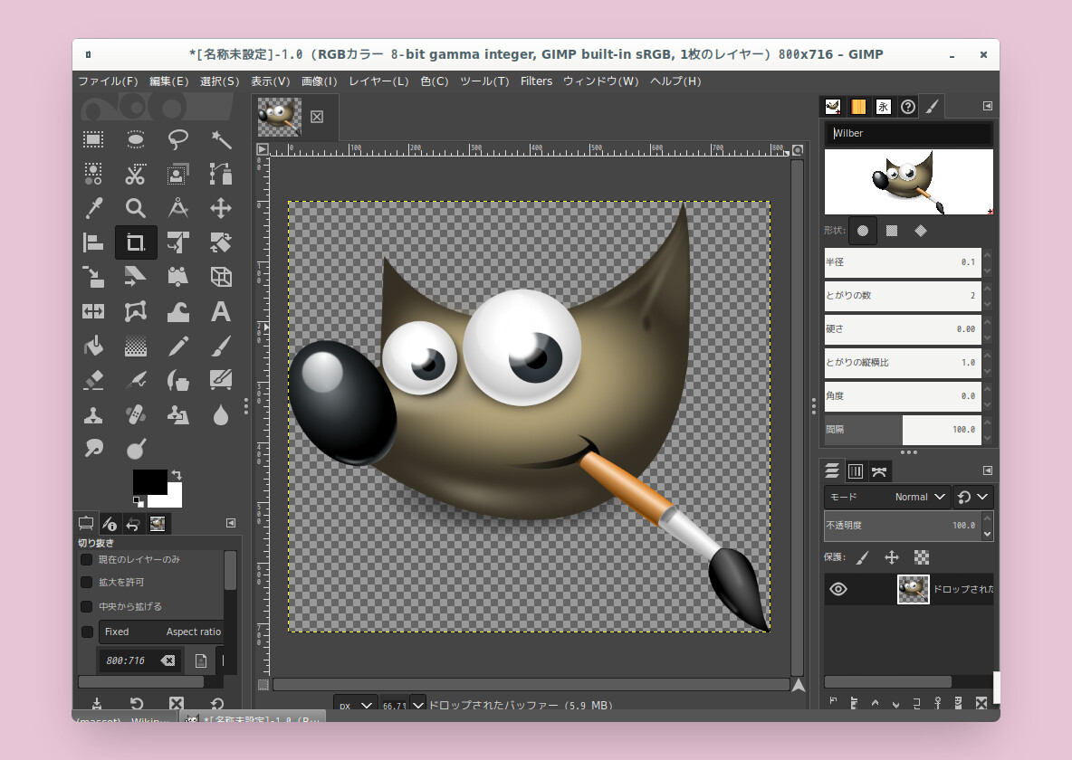 10 Mejores Programas Para Editar Fotos En El 2023 NEXELIT