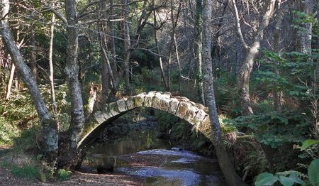 Cursos gratis de TurGalicia para profesionales del sector
