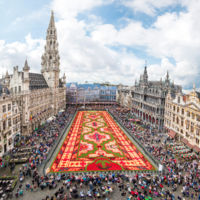 Este año toca ver la alfombra floral de Bruselas