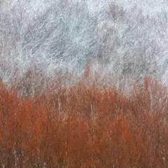 Foto 8 de 10 de la galería arte-en-la-naturaleza en Xataka Foto