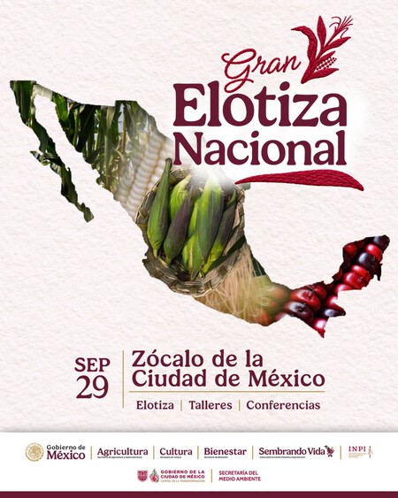 El Zócalo de CDMX tendrá una fiesta dedicada al maíz: así será la Gran Elotiza Nacional este 29 de septiembre
