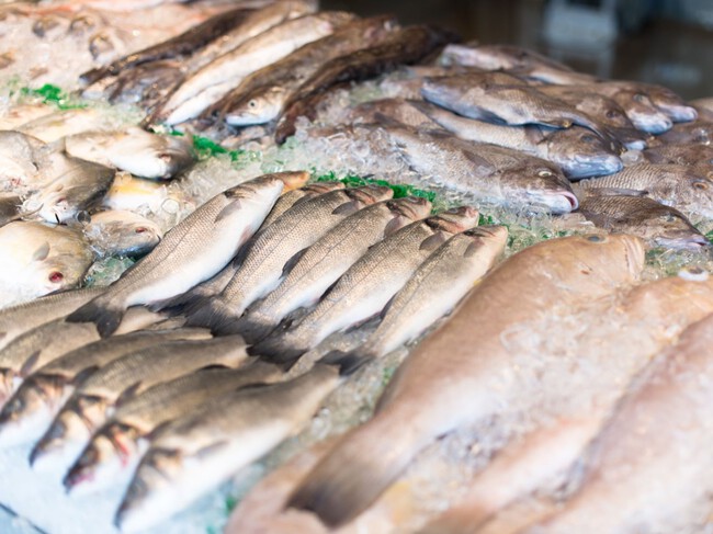 Pescado