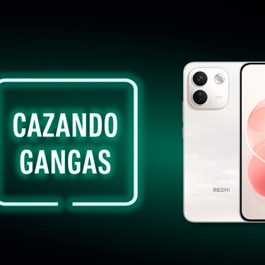 Cazando Gangas