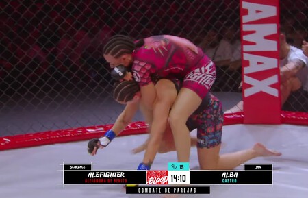 Dogfight Wild Tournament