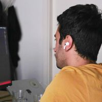 Tenía un animalito en su monitor y por querer sacarlo terminó condenando su pantalla para siempre