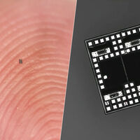 La robótica acaba de romper otra barrera de escala: ya hay robots autónomos más pequeños que un grano de sal