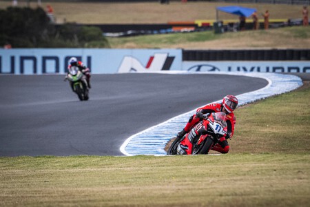 Bulega Australia Ssp 2023