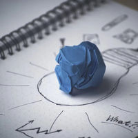 Si vas a emprender asume que lo más probable es que fracases