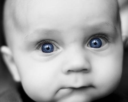 Sobre el origen de los ojos azules