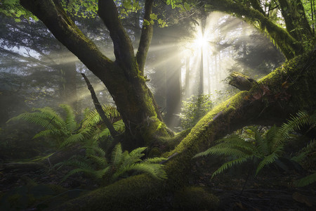 Estas son las mejores fotos de paisaje de 2018 según el concurso The International Landscape Photographer of the Year