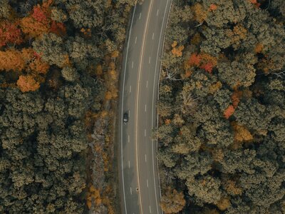 ¿Buscando un nuevo SUV para tus escapadas otoñales? Tenemos la solución 