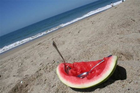 Algunos alimentos recomendados para cuando vamos a la playa