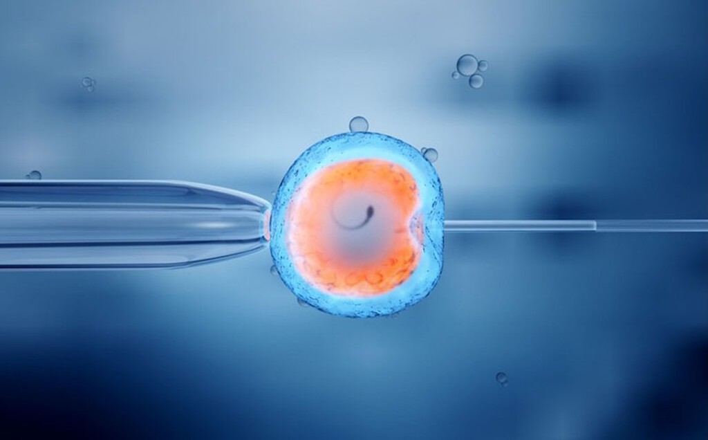 Hace 29 años clonamos a la oveja Dolly.  Gracias a ello, hoy estamos un paso más cerca de solucionar la crisis de fertilidad