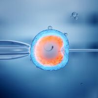 La infertilidad es uno de las grandes amenazas de la humanidad. Unos científicos han dado con una solución: la oveja Dolly