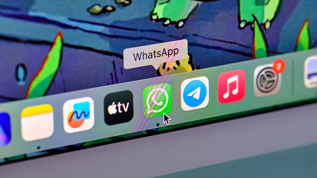 tutorial whatsapp web