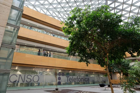 Cnso Telefonica