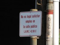 Los autónomos y la generación de empleo