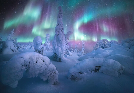 Las 25 mejores imágenes de Auroras Boreales y Australes del año 2021 para deleitarnos con este curioso fenómeno natural