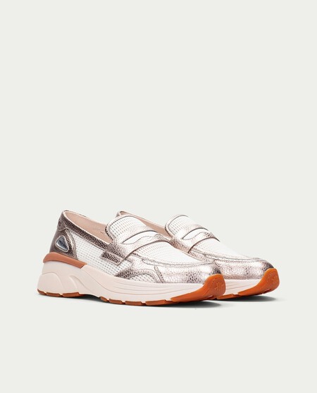 Www 8447519066646 02