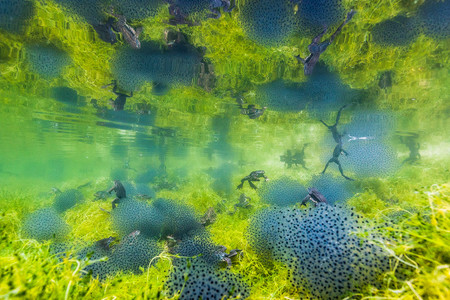 C Manuel Plaickner Wildlife Photographer Of The Year