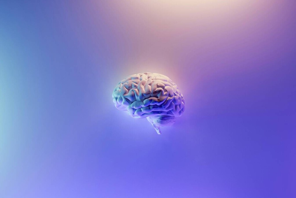 Olvidarte de cosas no es un bug, es una feature de tu cerebro: cómo no recordar cosas nos hace pensar mejor 