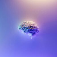 Olvidarte de cosas no es un bug, es una feature de tu cerebro: cómo no recordar cosas nos hace pensar mejor 