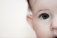 La violencia afecta de manera negativa al cerebro de los niños