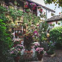 Ya puedes disfrutar del Festival de Los Patios Cordobeses 2020 (también de forma virtual)