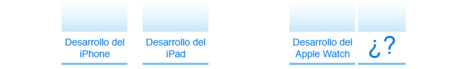 Desarrollo
