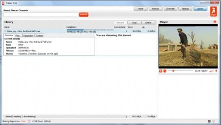 Tribler un cliente BitTorrent totalmente descentralizado