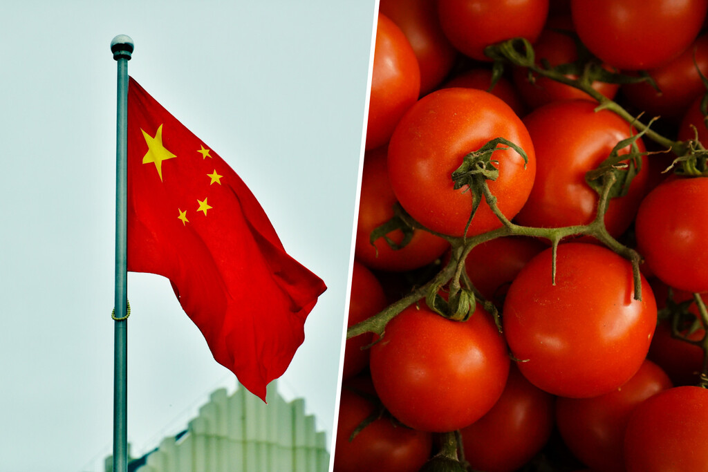 Italia lleva años importando su famosísima pasta de tomate "italiana" de China. Y ahora China tiene un problema