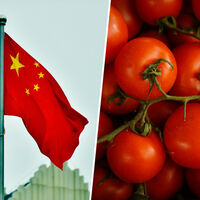 Italia lleva años importando su famosísima pasta de tomate "italiana" de China. Y ahora China tiene un problema