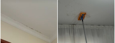 Cómo limpiar las manchas de moho y condensación de las paredes: solo necesitas una bayeta para combatir las humedades de la lluvia