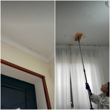 Cómo limpiar las manchas de moho y condensación de las paredes: solo necesitas una bayeta para combatir las humedades de la lluvia