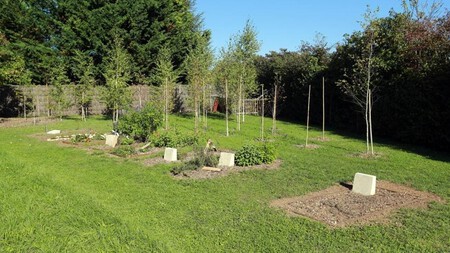 Cementerios Ecologicos