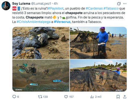 Captura De Pantalla X