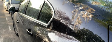 Sí, Ford creó popó artificial de pájaro para poner a prueba la pintura de sus autos