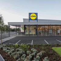 El lunes, 7 de septiembre, llega a Lidl la sudadera Nike por menos de 40 euros ideal para este otoño 