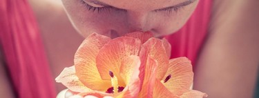 Por qué deberíamos hacernos un test de olfato de forma regular: cuanto menos olemos, más riesgo de mortalidad tenemos 