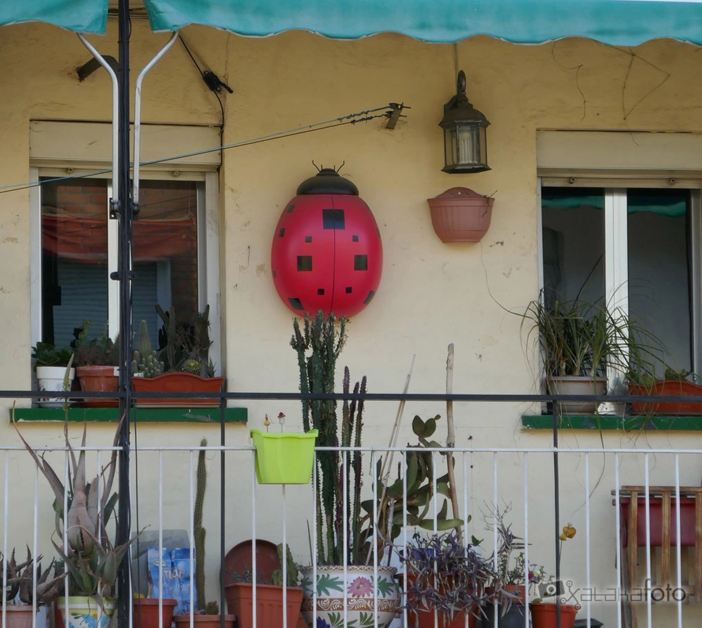 Foto de Galería de la Panasonic Lumix TZ100 (13 fotos) (1/15)